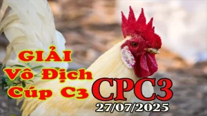 Gà Đá Giải Cúp Vô Địch Cúp C3 Hôm Nay 27/07/2025